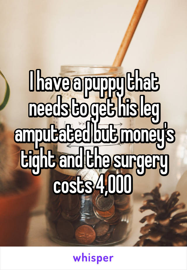 I have a puppy that needs to get his leg amputated but money's tight and the surgery costs 4,000 