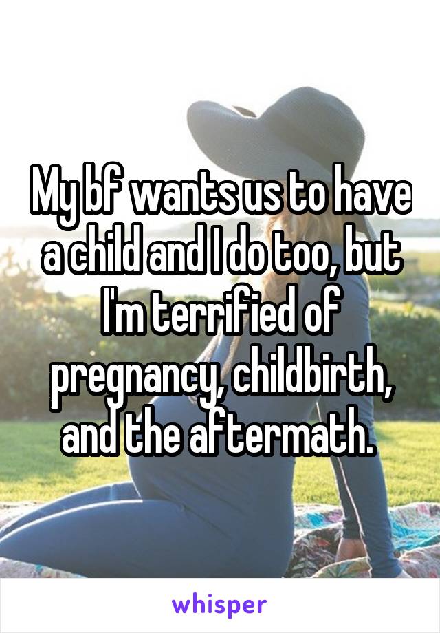 My bf wants us to have a child and I do too, but I'm terrified of pregnancy, childbirth, and the aftermath. 