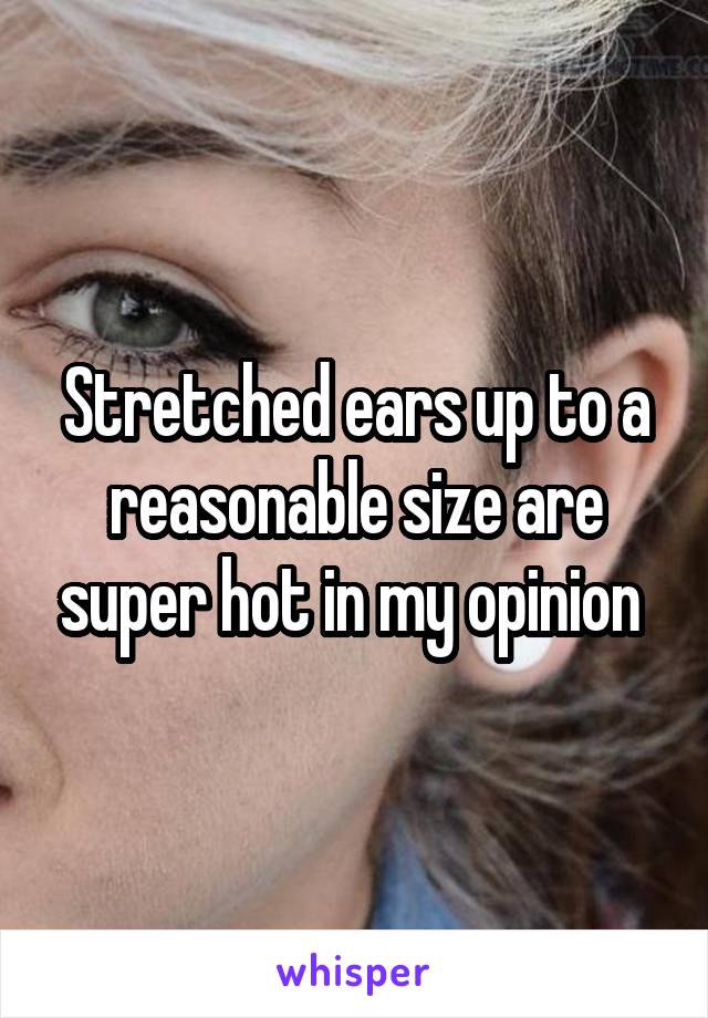 Stretched ears up to a reasonable size are super hot in my opinion 