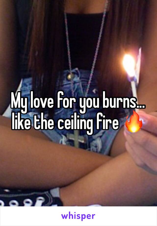 My love for you burns... like the ceiling fire 🔥 