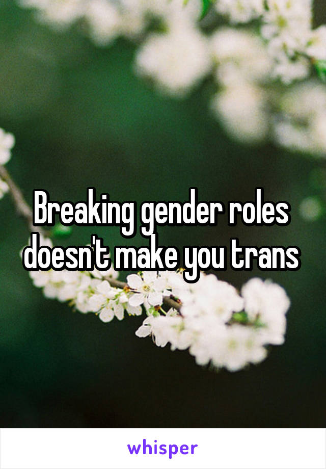 Breaking gender roles  doesn't make you trans 