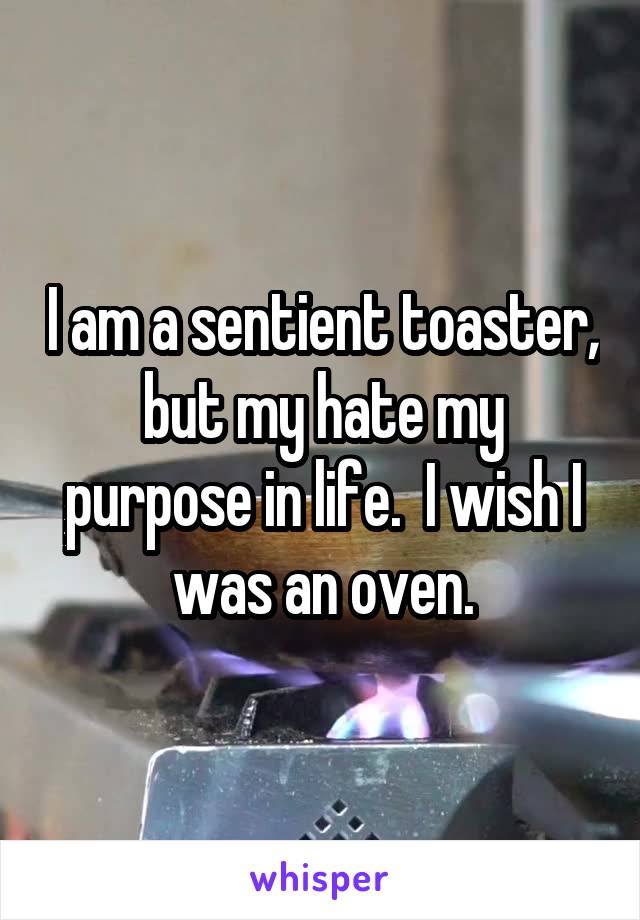 I am a sentient toaster, but my hate my purpose in life.  I wish I was an oven.
