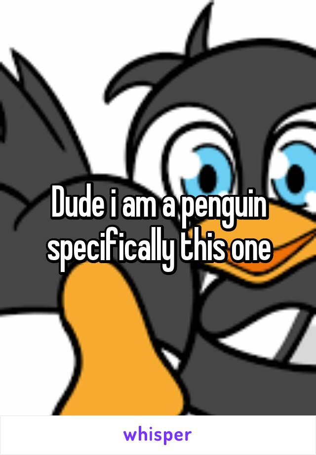 Dude i am a penguin specifically this one