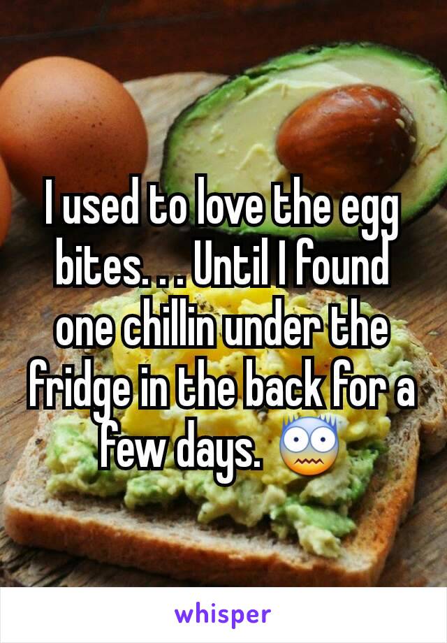 I used to love the egg bites. . . Until I found one chillin under the fridge in the back for a few days. 😨