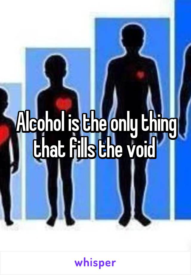 Alcohol is the only thing that fills the void 