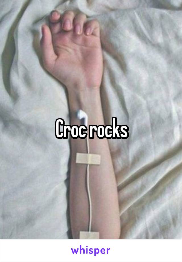 Croc rocks