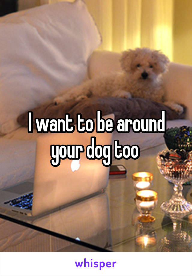 I want to be around your dog too 