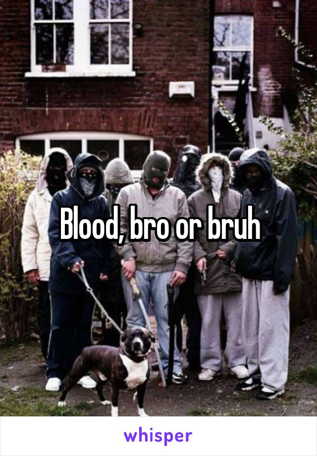 Blood, bro or bruh