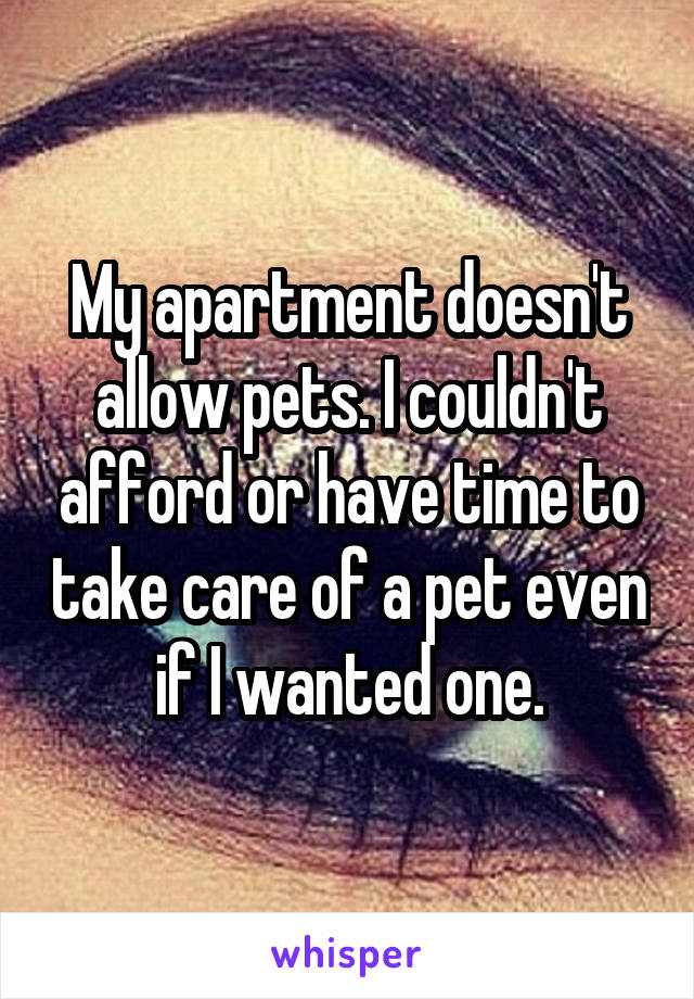 My apartment doesn't allow pets. I couldn't afford or have time to take care of a pet even if I wanted one.