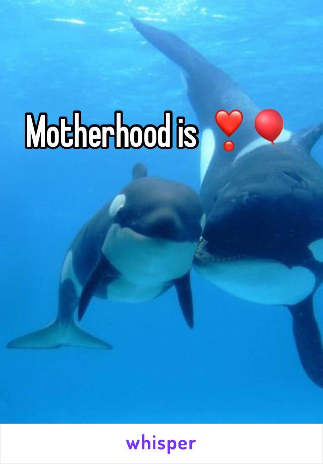 Motherhood is ❣️🎈