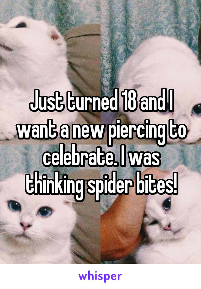 Just turned 18 and I want a new piercing to celebrate. I was thinking spider bites!