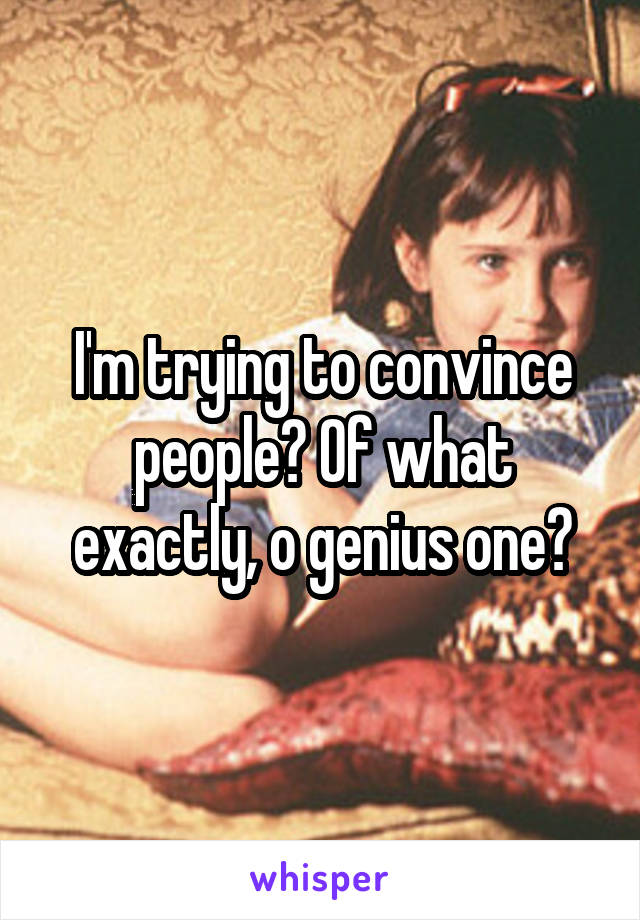 I'm trying to convince people? Of what exactly, o genius one?