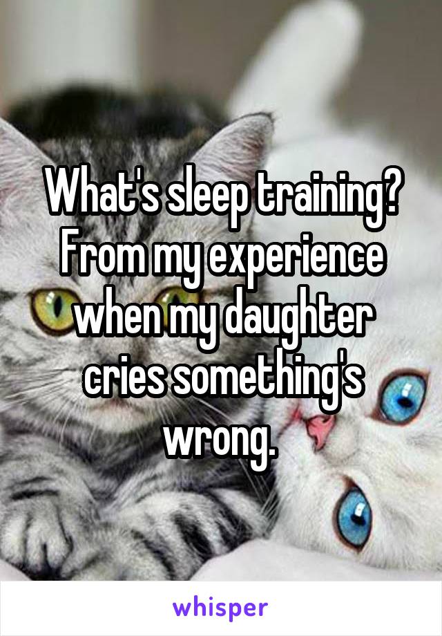 What's sleep training? From my experience when my daughter cries something's wrong. 