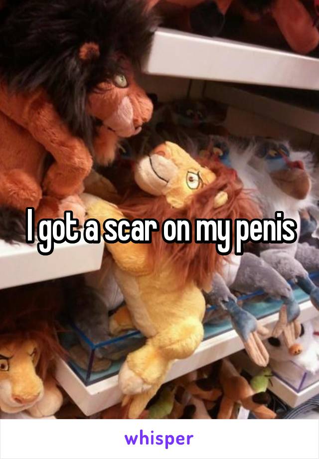 I got a scar on my penis