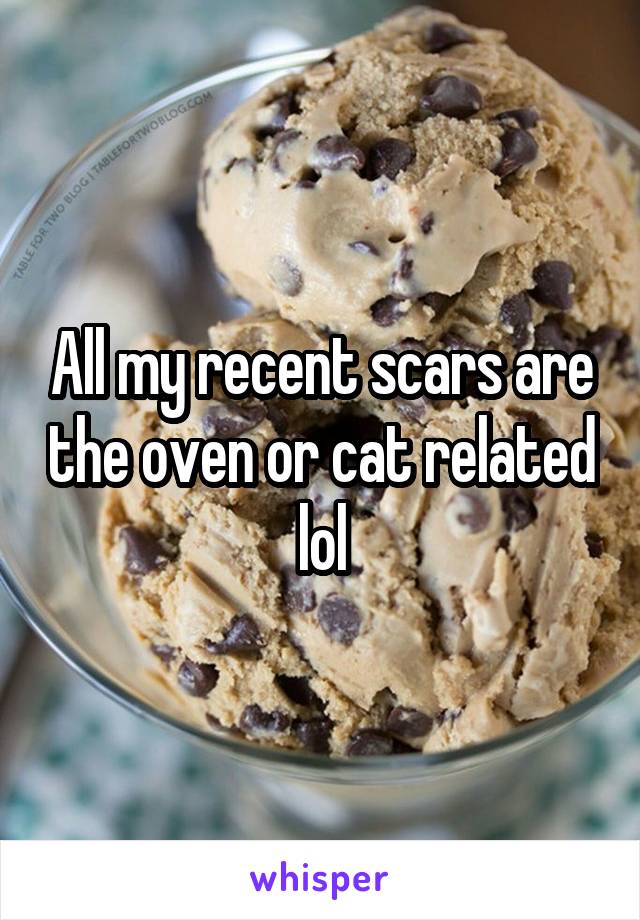 All my recent scars are the oven or cat related lol