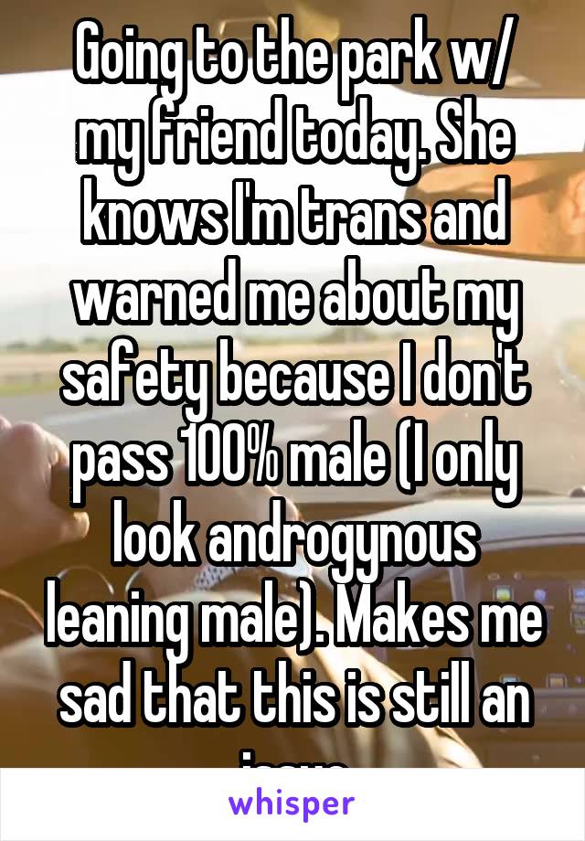 Going to the park w/ my friend today. She knows I'm trans and warned me about my safety because I don't pass 100% male (I only look androgynous leaning male). Makes me sad that this is still an issue