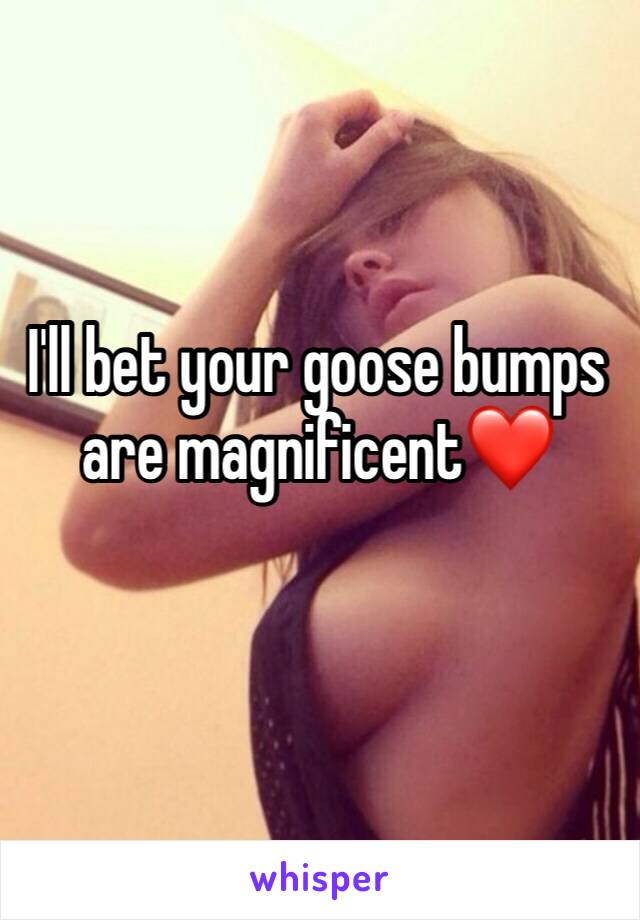 I'll bet your goose bumps are magnificent❤️
