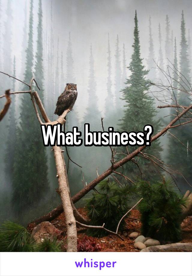 What business?
