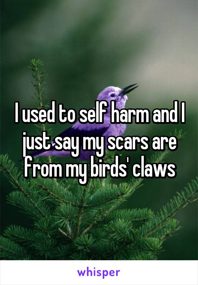 I used to self harm and I just say my scars are from my birds' claws