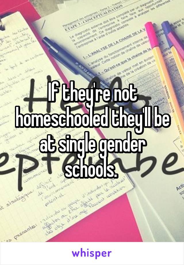 If they're not homeschooled they'll be at single gender schools. 