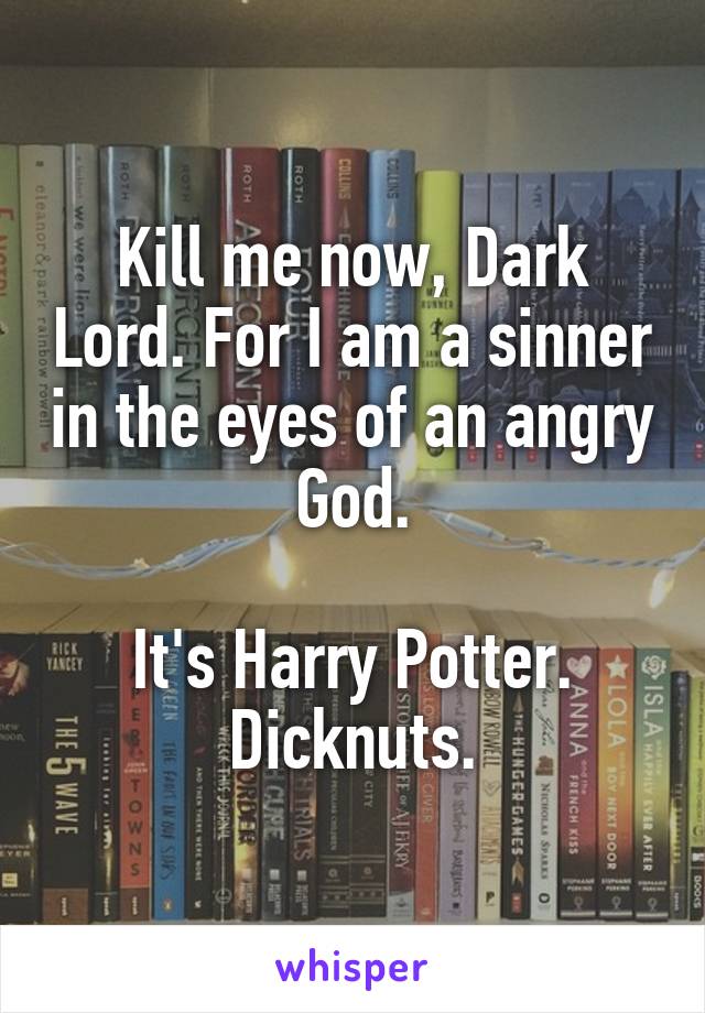Kill me now, Dark Lord. For I am a sinner in the eyes of an angry God.

It's Harry Potter.
Dicknuts.