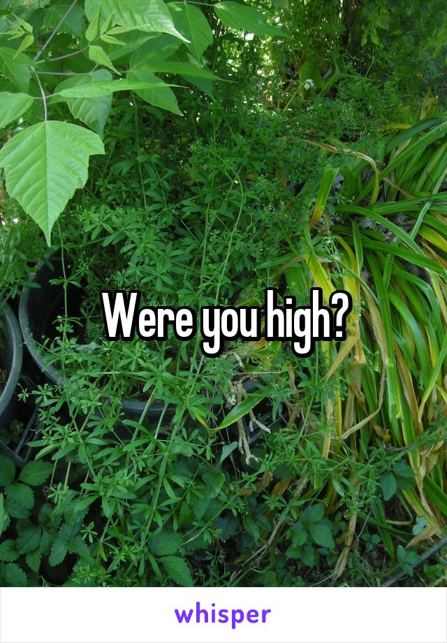 Were you high?