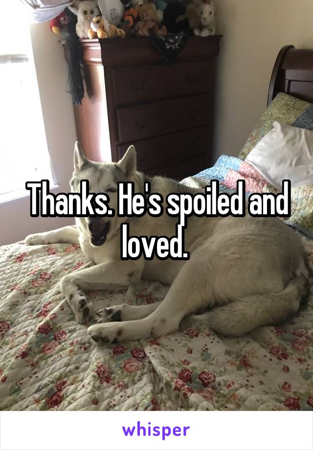 Thanks. He's spoiled and loved. 