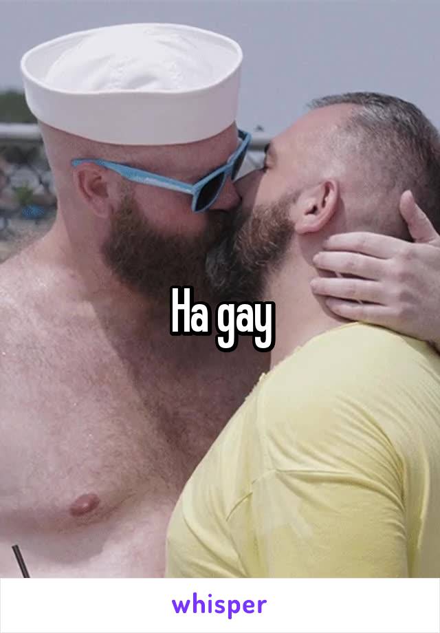 Ha gay