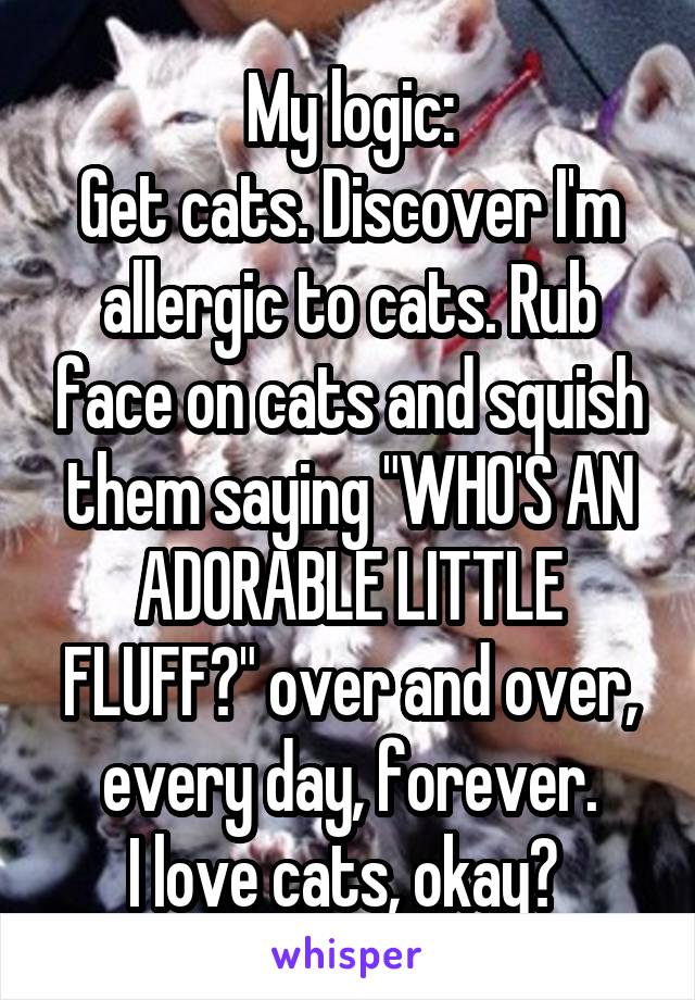 My logic:
Get cats. Discover I'm allergic to cats. Rub face on cats and squish them saying "WHO'S AN ADORABLE LITTLE FLUFF?" over and over, every day, forever.
I love cats, okay? 
