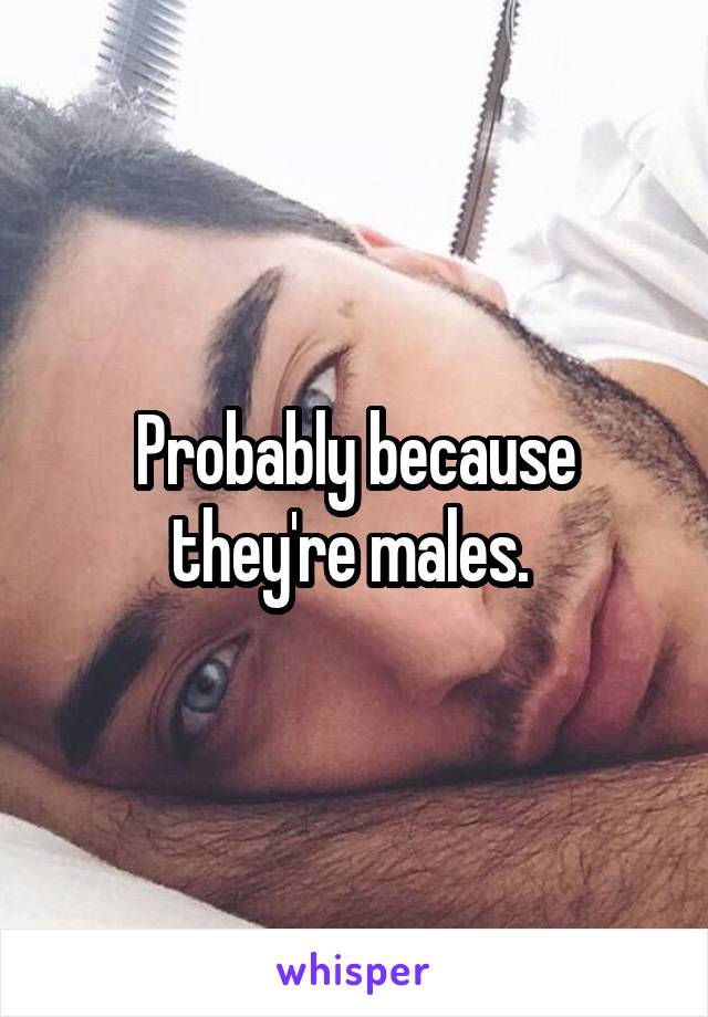 Probably because they're males. 