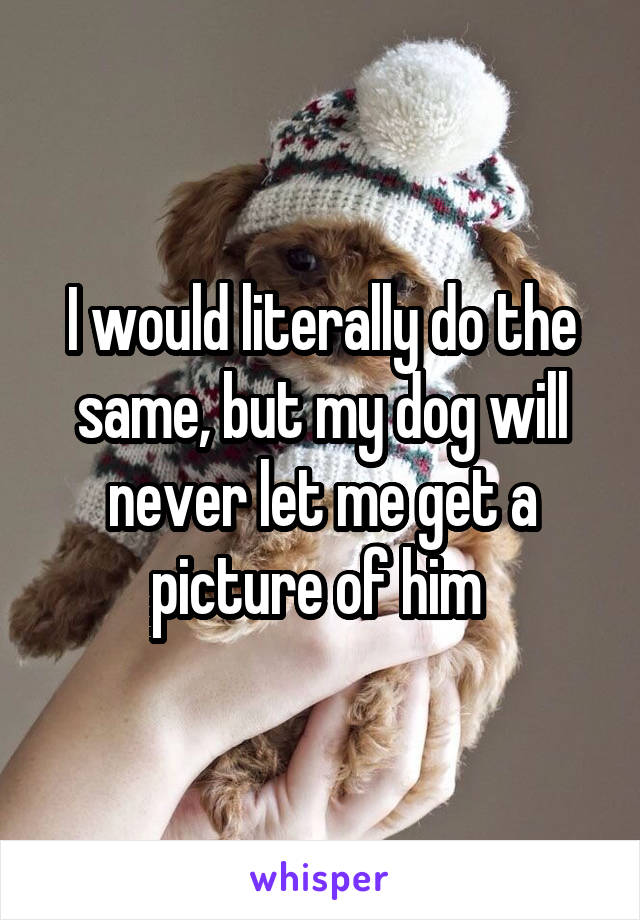I would literally do the same, but my dog will never let me get a picture of him 
