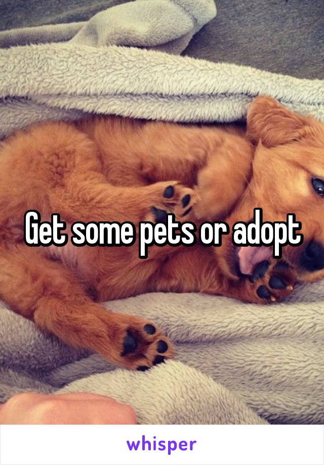 Get some pets or adopt