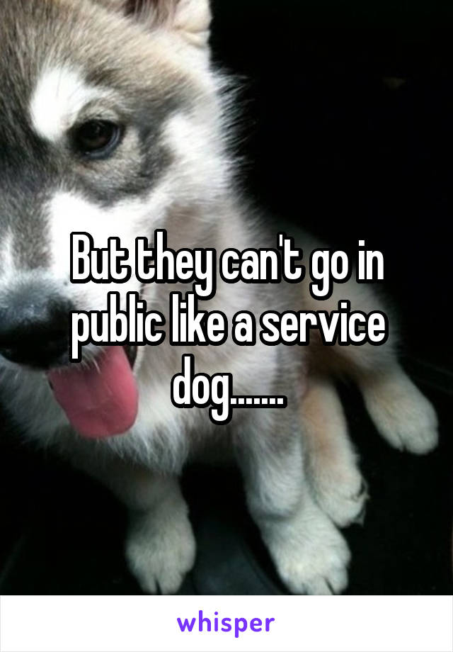 But they can't go in public like a service dog.......