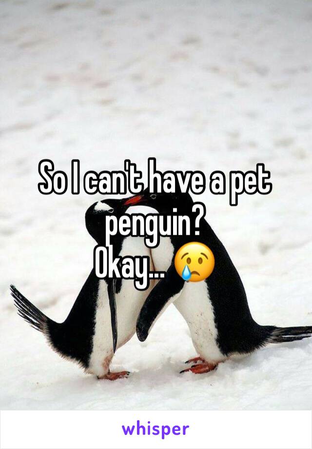 So I can't have a pet penguin?
Okay... 😢