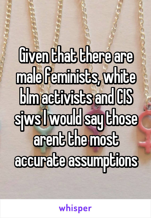 Given that there are male feminists, white blm activists and CIS sjws I would say those arent the most accurate assumptions