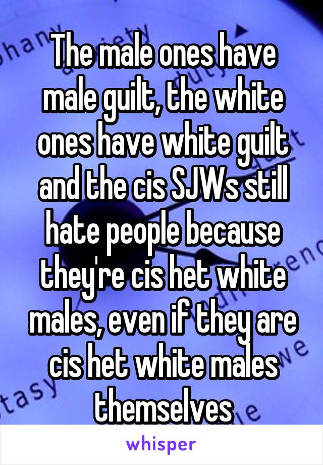The male ones have male guilt, the white ones have white guilt and the cis SJWs still hate people because they're cis het white males, even if they are cis het white males themselves