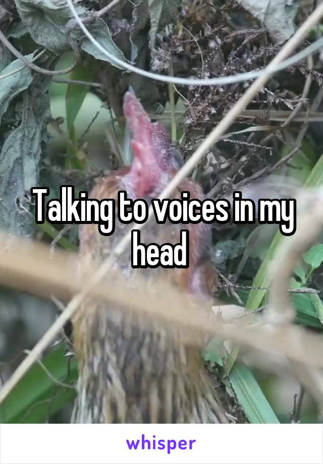 Talking to voices in my head 