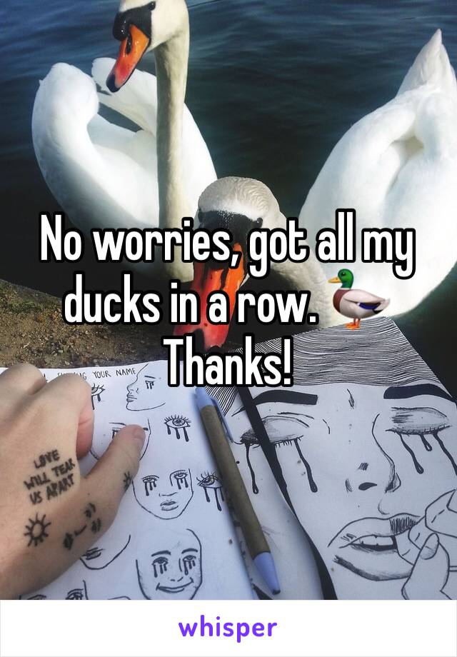 No worries, got all my ducks in a row. 🦆 Thanks!