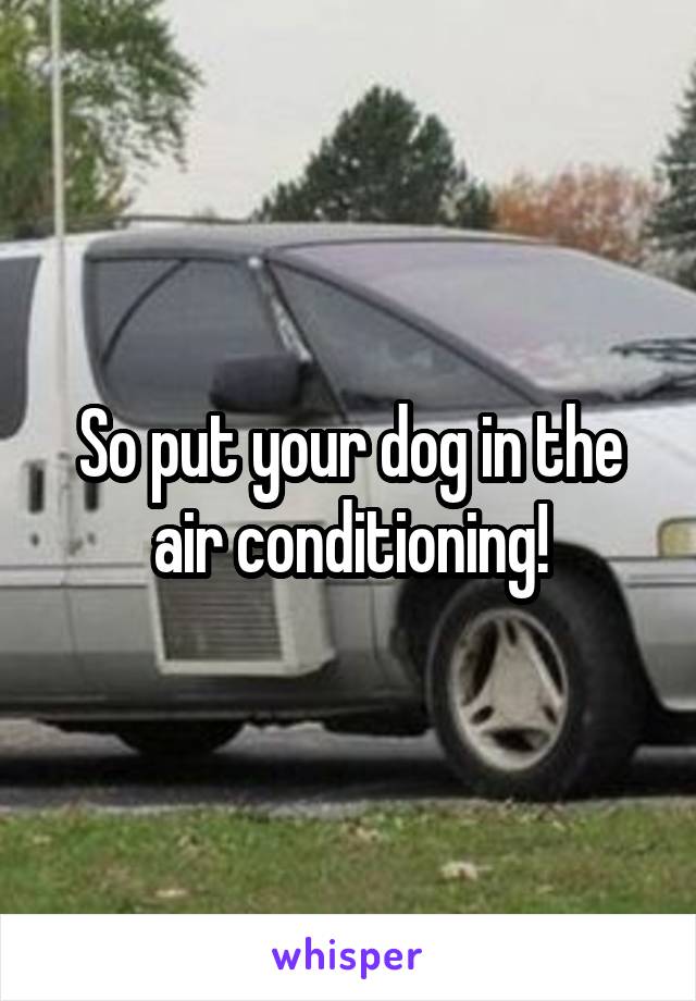 So put your dog in the air conditioning!