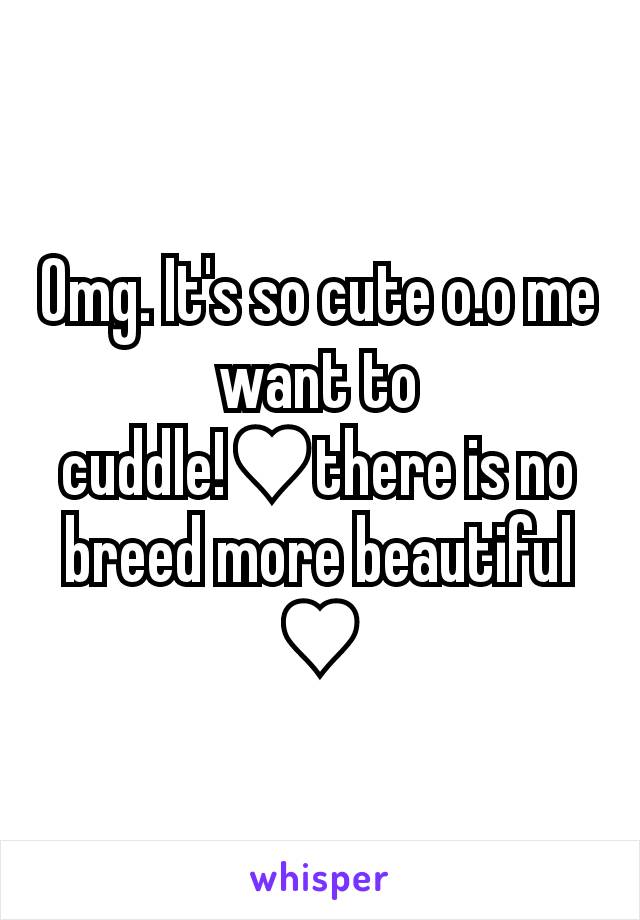 Omg. It's so cute o.o me want to cuddle!♥there is no breed more beautiful ♥