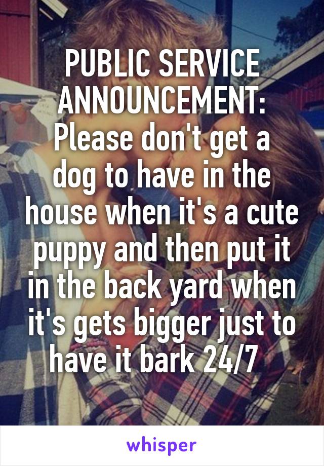 PUBLIC SERVICE ANNOUNCEMENT:
Please don't get a dog to have in the house when it's a cute puppy and then put it in the back yard when it's gets bigger just to have it bark 24/7  
