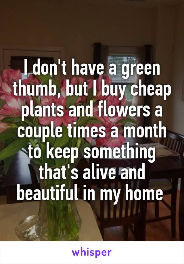 I don't have a green thumb, but I buy cheap plants and flowers a couple times a month to keep something that's alive and beautiful in my home 