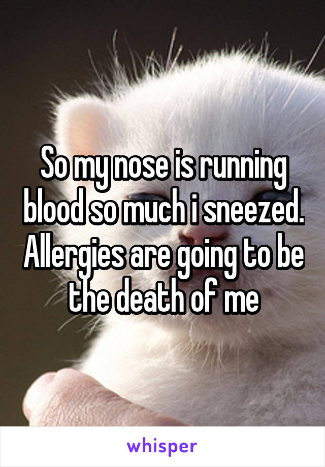 So my nose is running blood so much i sneezed. Allergies are going to be the death of me