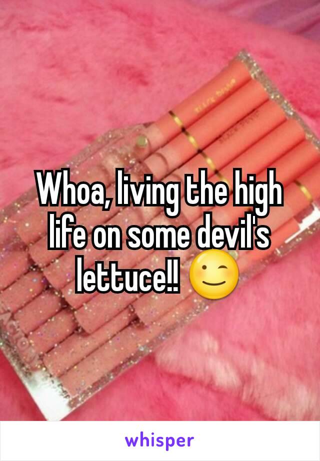 Whoa, living the high life on some devil's lettuce!! 😉