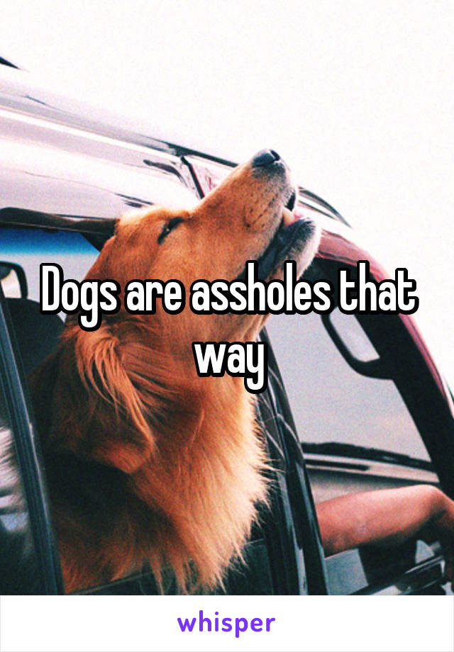 Dogs are assholes that way