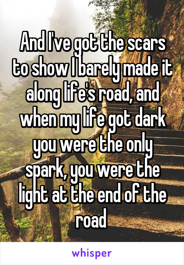 And I've got the scars to show I barely made it along life's road, and when my life got dark you were the only spark, you were the light at the end of the road 