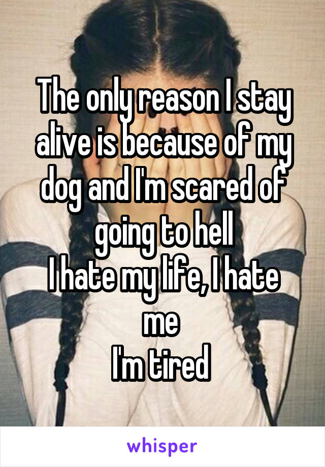 The only reason I stay alive is because of my dog and I'm scared of going to hell
I hate my life, I hate me 
I'm tired 