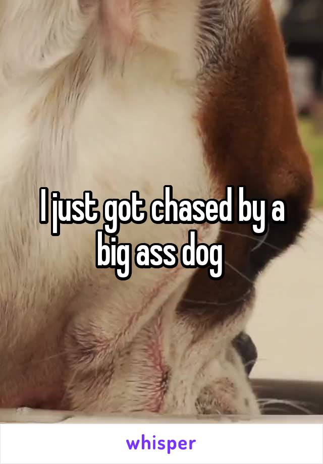 I just got chased by a big ass dog 