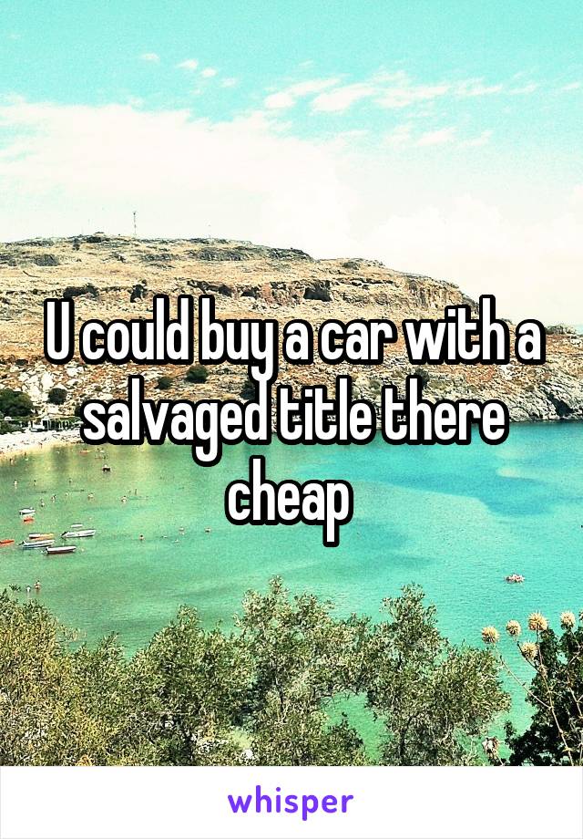 U could buy a car with a salvaged title there cheap 