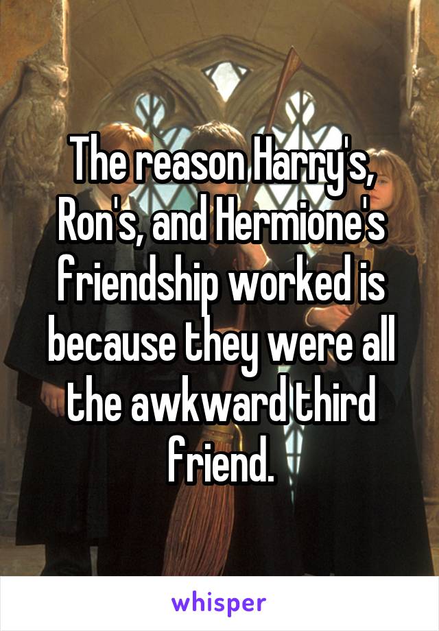 The reason Harry's, Ron's, and Hermione's friendship worked is because they were all the awkward third friend.